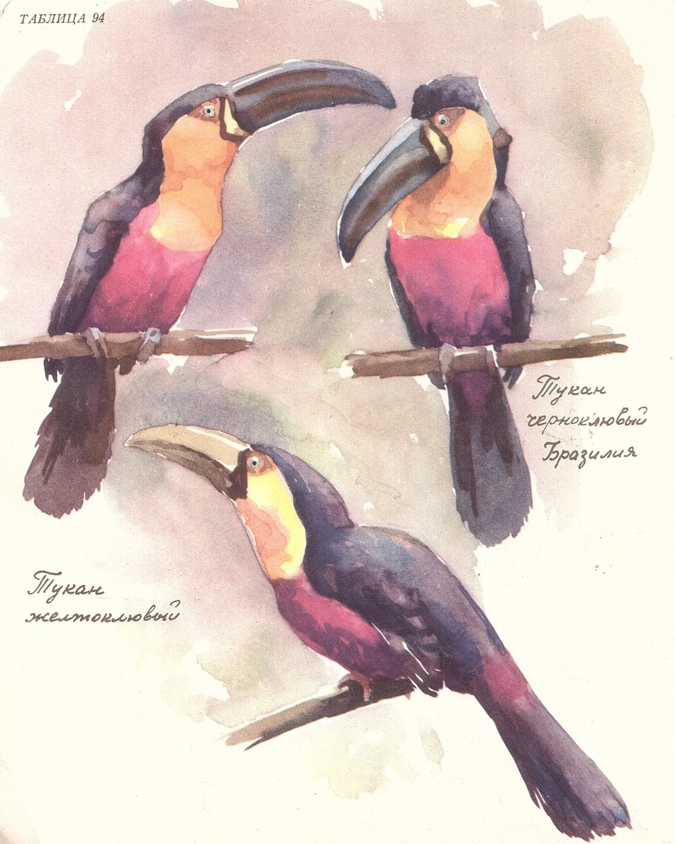 Автор всех работ - Ян Соколовский