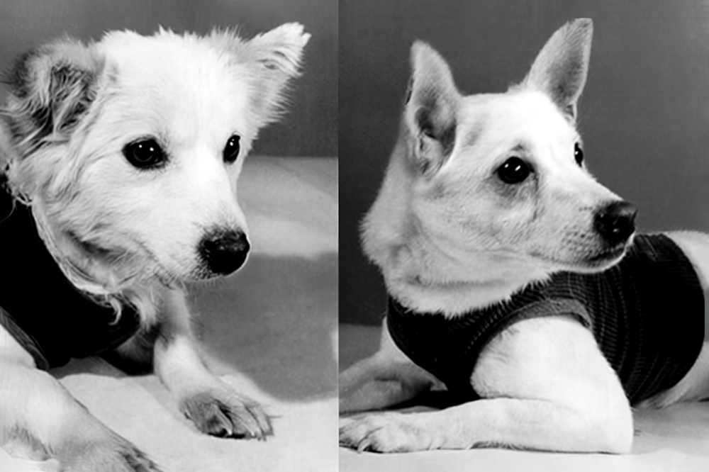 Мушка и Пчёлка. Экипаж погиб в результате аварийного подрыва объекта 1 декабря 1960 года.