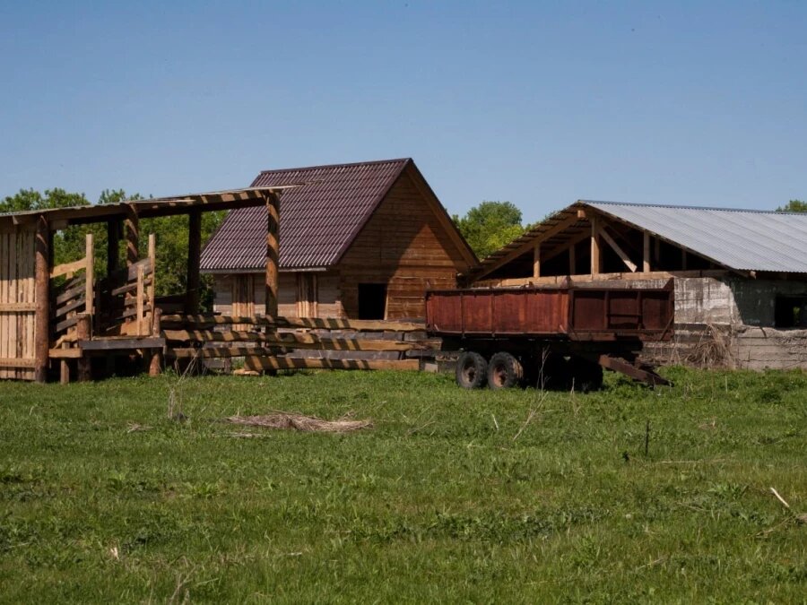    ЛПХ. Фото: Дарья Беркетова Анна Камалова