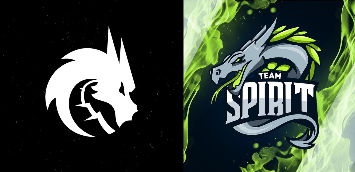 Источник: официальный сайт Team Spirit