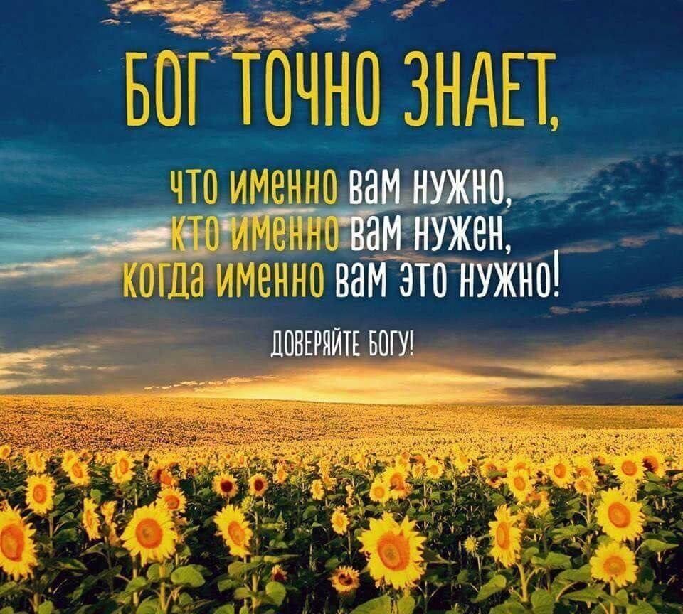 Идеи хорошие, а уровень их понимания может различаться