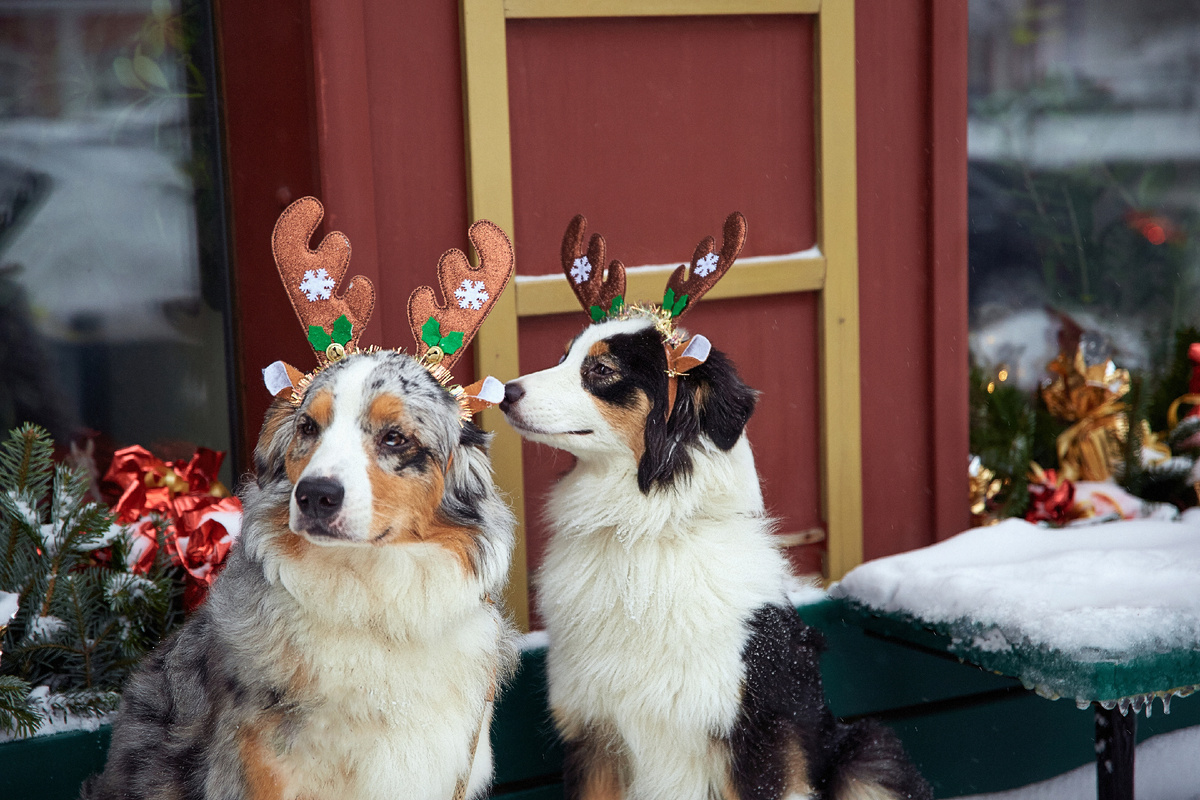 Дай скажу тебе на ушко, где подают самый вкусный кефир