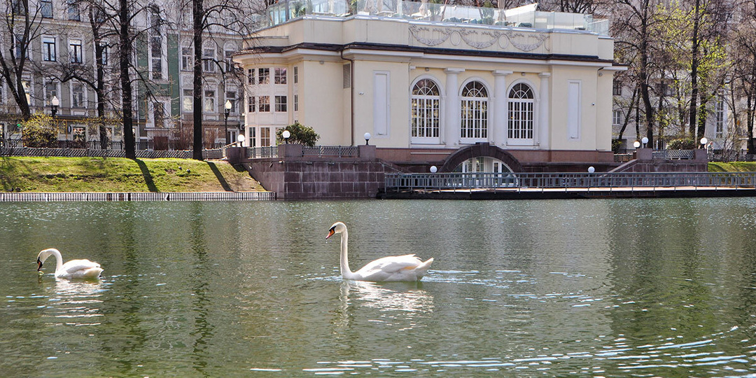 Реквием по «Патрикам»: почему самый модный район Москвы теряет популярность