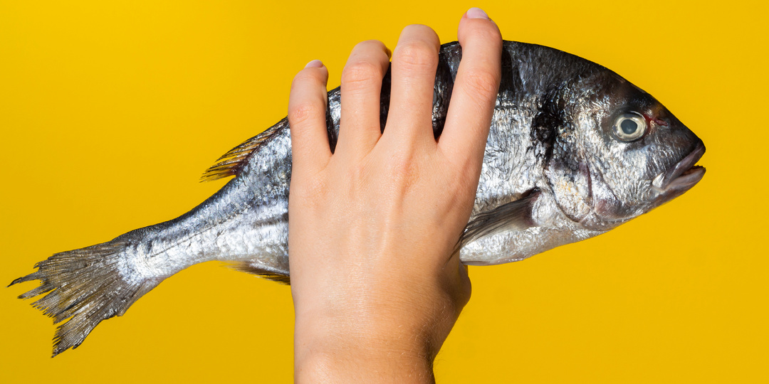 «Рыба — это не враг! 3 простых правила, чтобы не “поймать” кость»