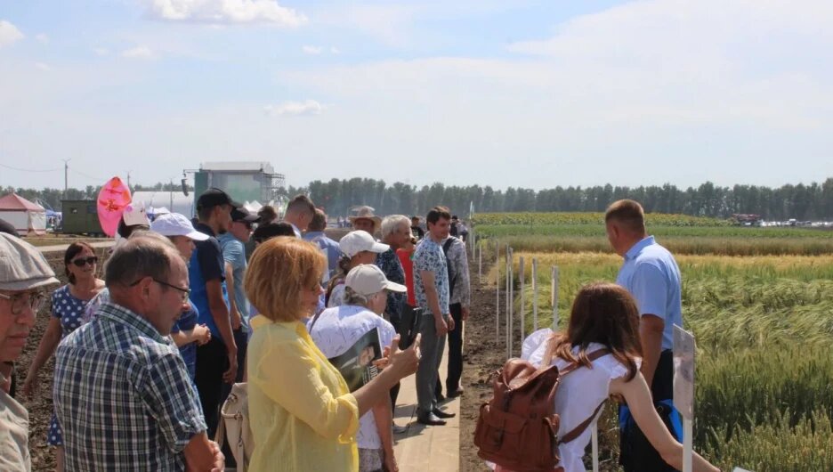    Алтайский центр агротехнологий   
Алтайский центр агротехнологий Анна Камалова