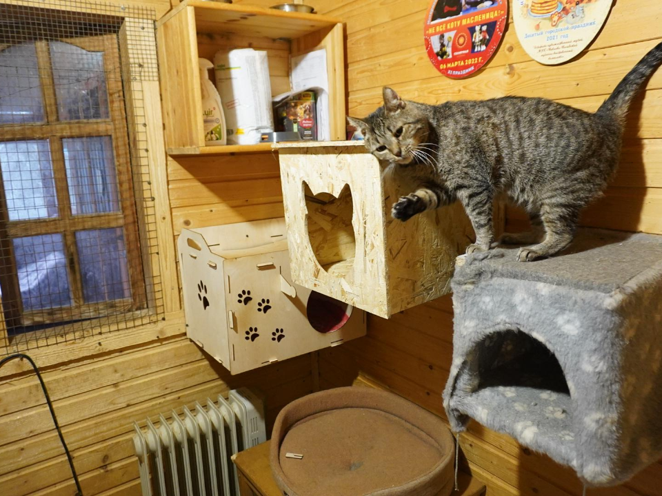    Фото: REGIONS/Алена Притула