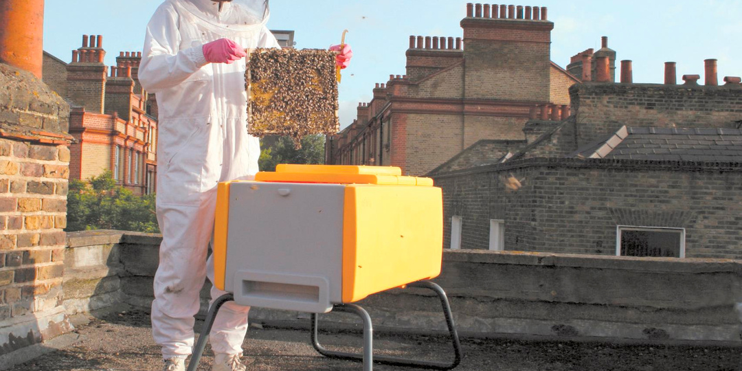 «Пчеловодство в малых и больших городах»