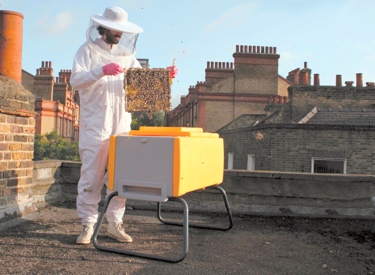 Пчеловодство в малых и больших городах