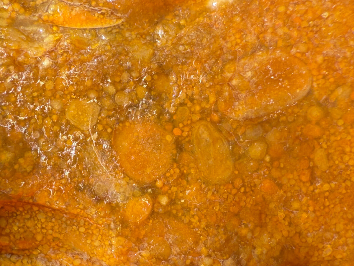 На макрофото оолитовая структура кремня.