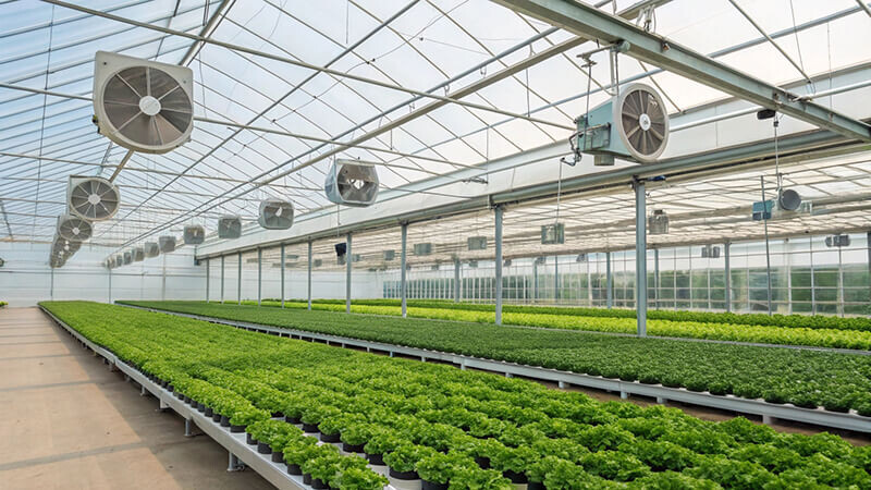 Промышленные и фермерские теплицы под ключ по всей России