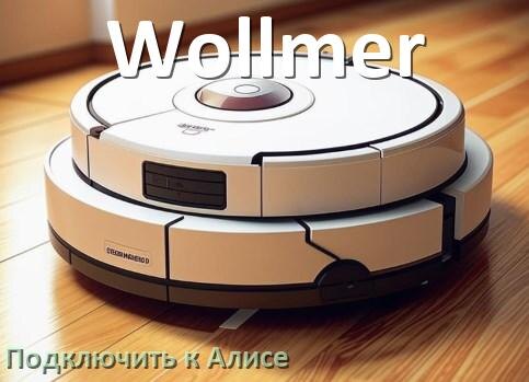
Как подключить робот пылесос Wollmer к Алисе и Яндекс Станции