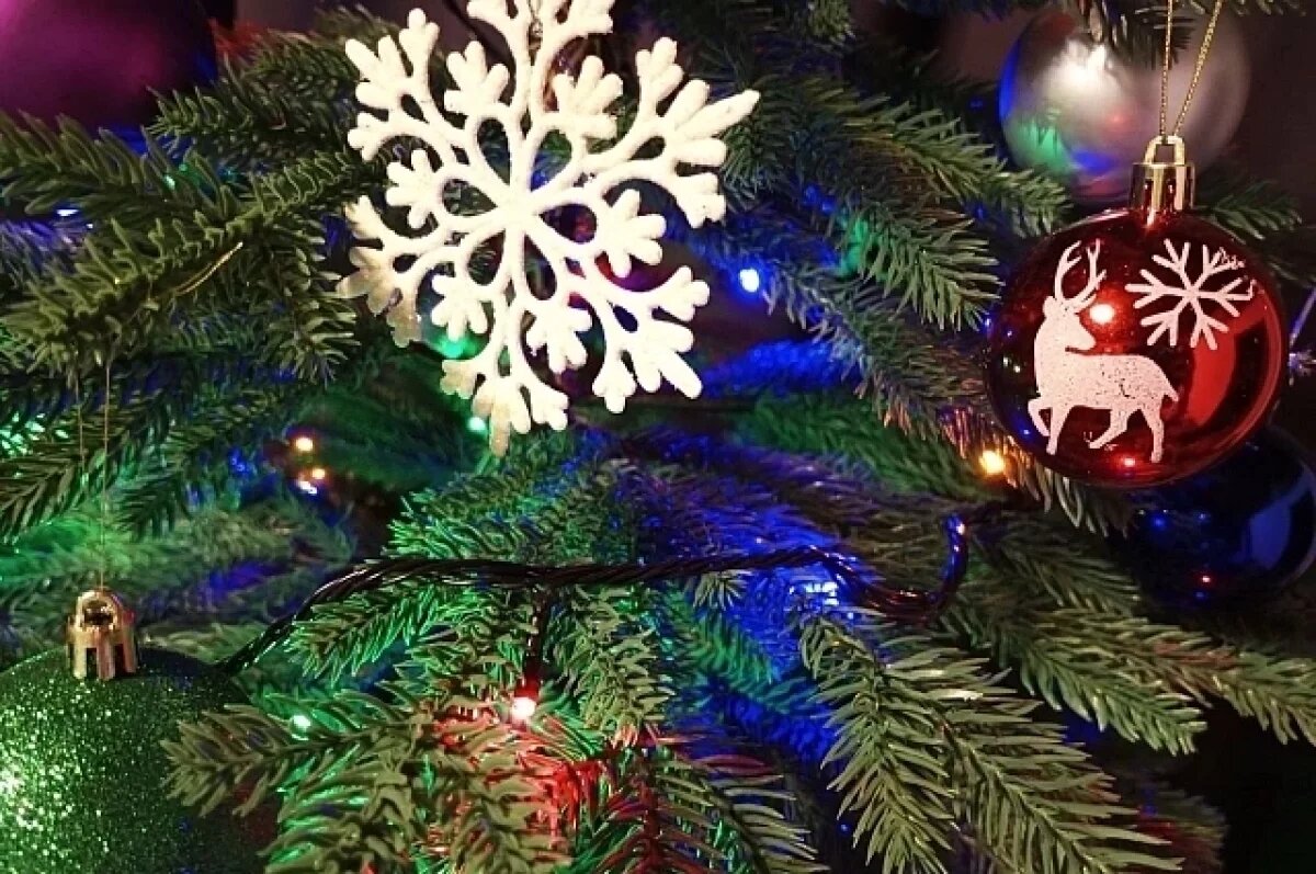    В Ярославле пройдет конкурс на лучшее новогоднее оформление