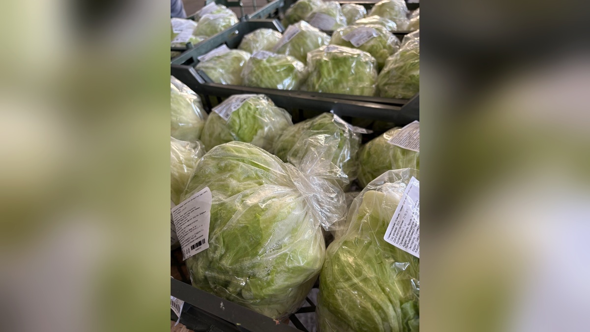    Фото t.me/rsn_yug