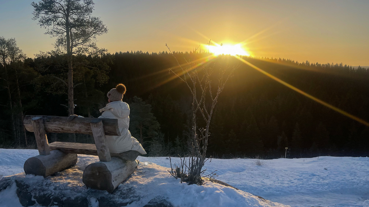 Закат над лесами Карелии с горы Паасо