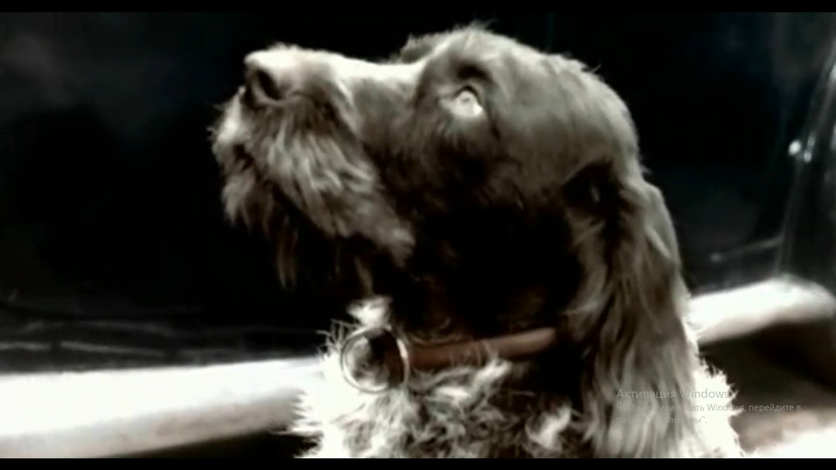 Кадр фильма. Фото автора. 