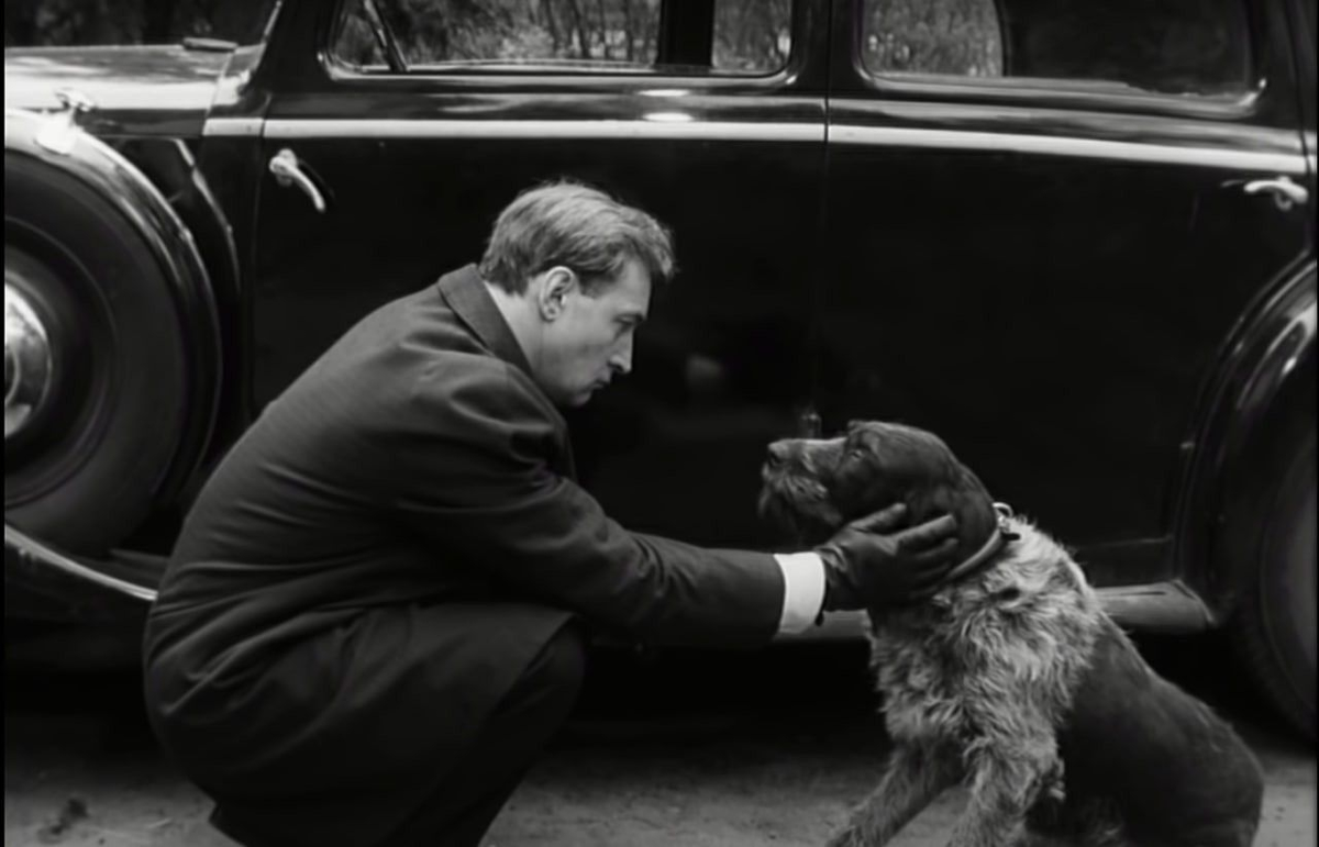 Фото из открытого источника. 