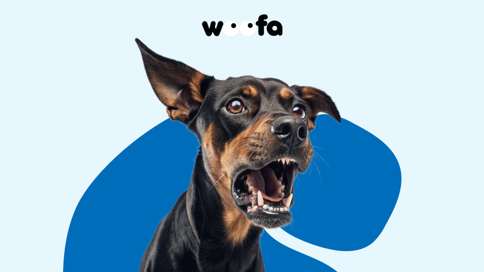 Да, да, они тоже психуют!