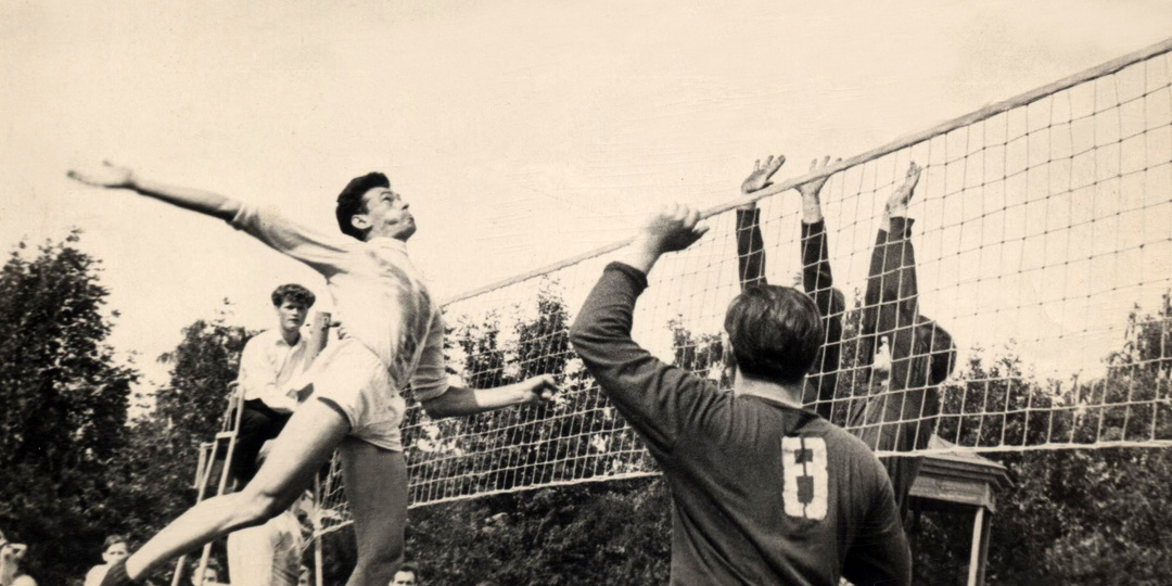 Проблема оживления волейбольного фото искусственным интеллектом Алиса AI