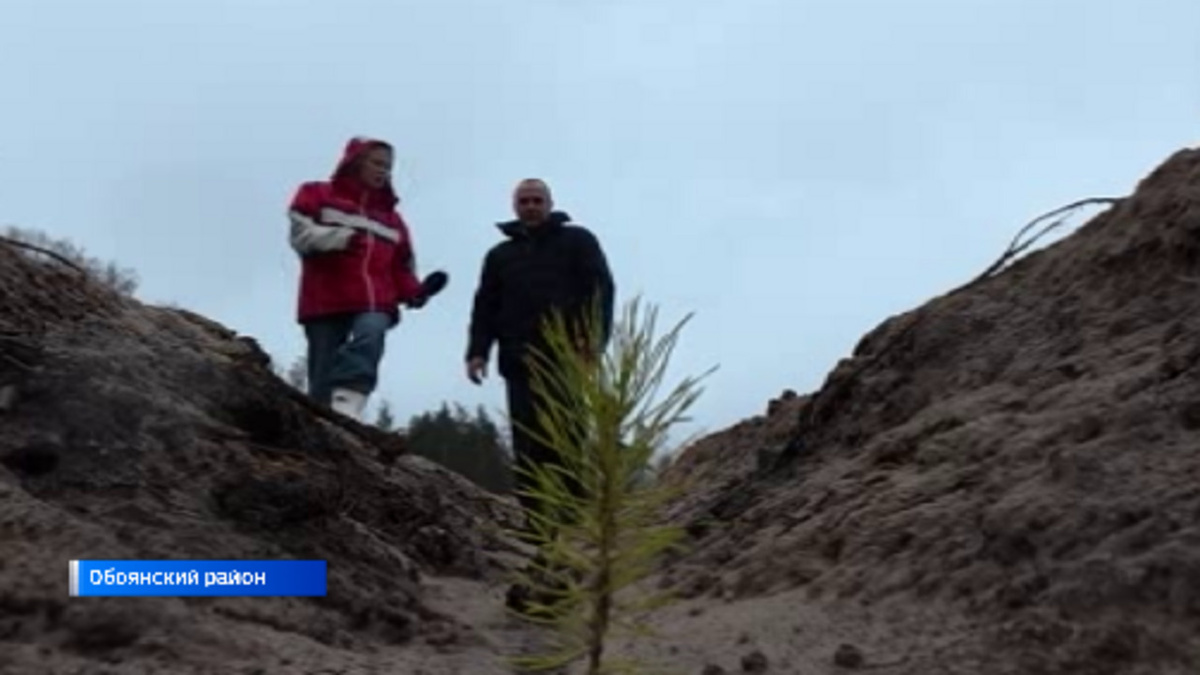    В Курской области, чувствуя угрозу, на «зелёных красавиц» надевают специальный камуфляж