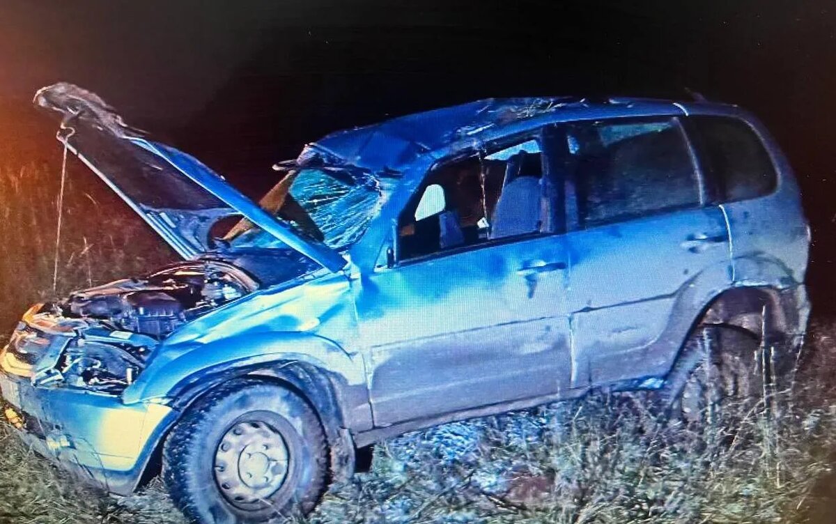    Пьяный водитель «Нивы» пострадал на дороге в Удмуртии