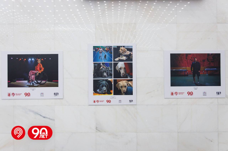    Фото: пресс-служба Департамента транспорта и развития дорожно-транспортной инфраструктуры города Москвы