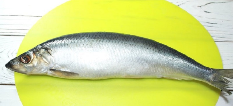 Две простые закуски из одной селедки: просто, быстро и всегда к столу