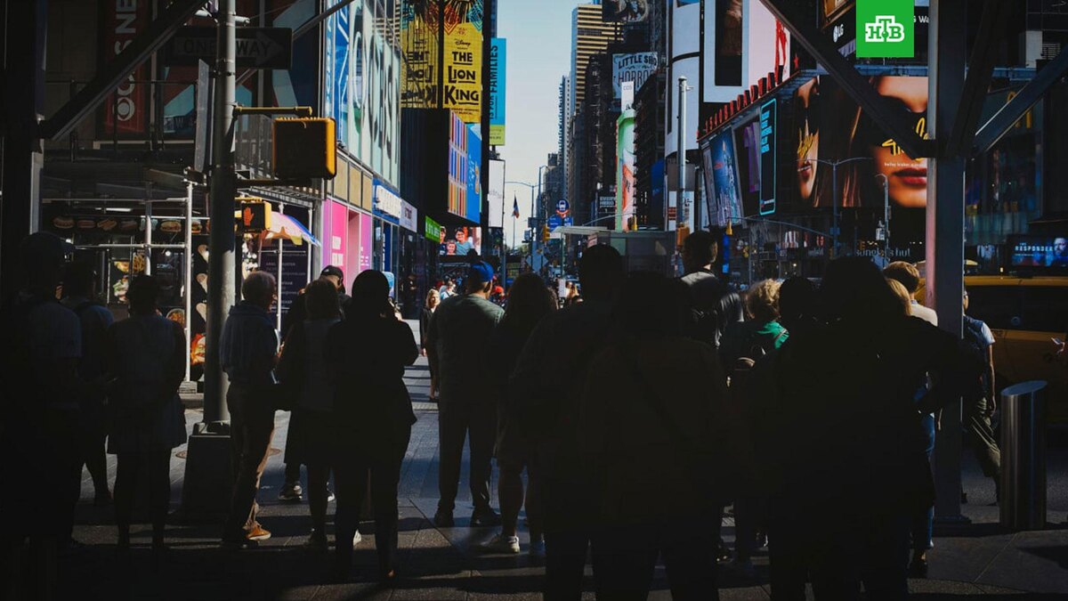    Фото: Martin W. / unsplash.com