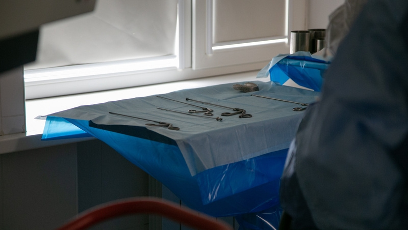      Фото: Валерия Алтухова / / ИА «Победа26»