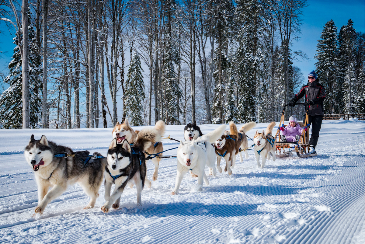 Артур Лебедев / TASS