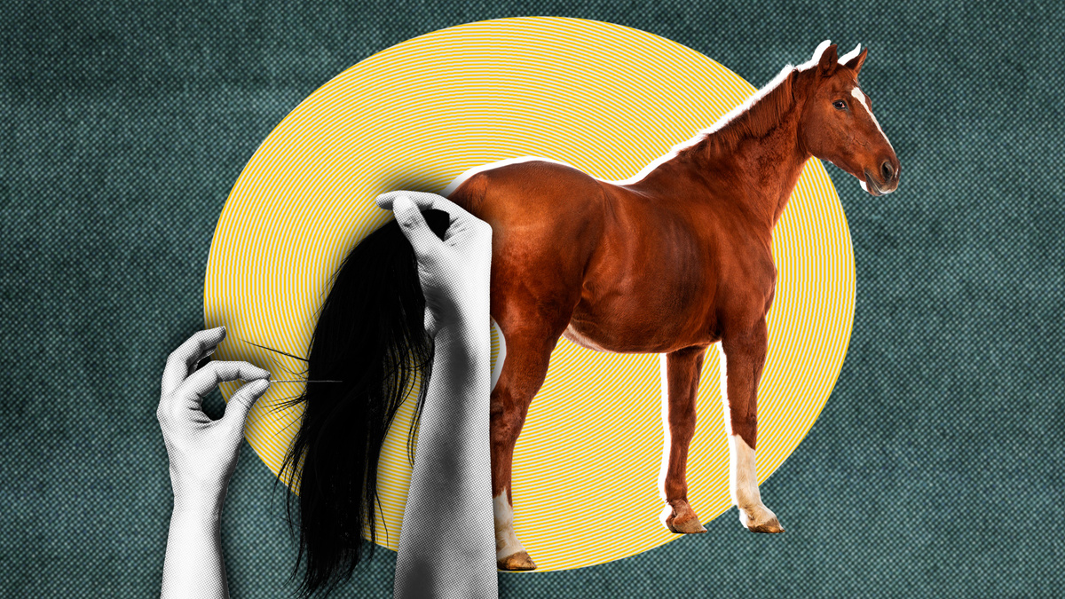 Кира Лисицкая (Фото: GlobalP, Ben Stevens, Olga_968, 29mokara, Eudyptula/Getty Images)