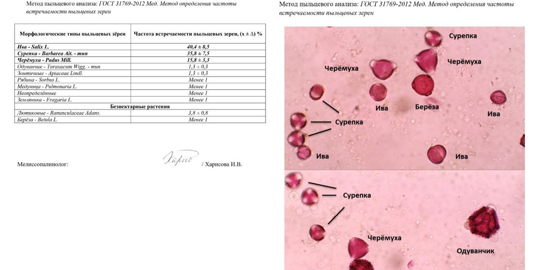 Уважаемые пчеловоды