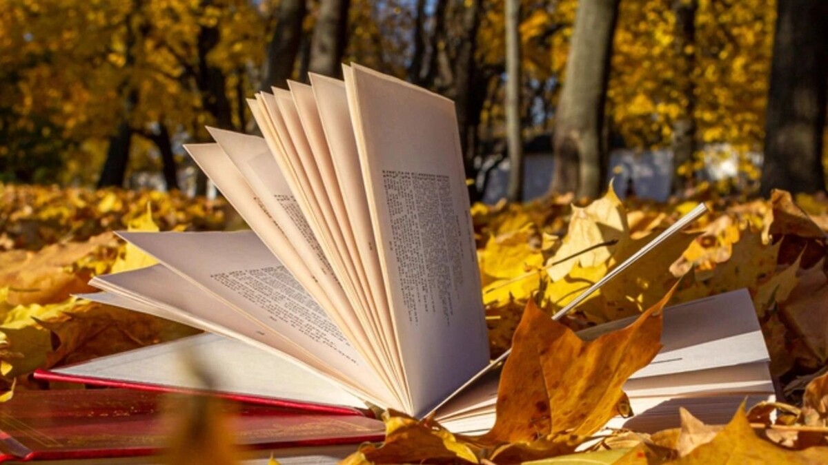    Фото: dimakig/Shutterstock/Fotodom