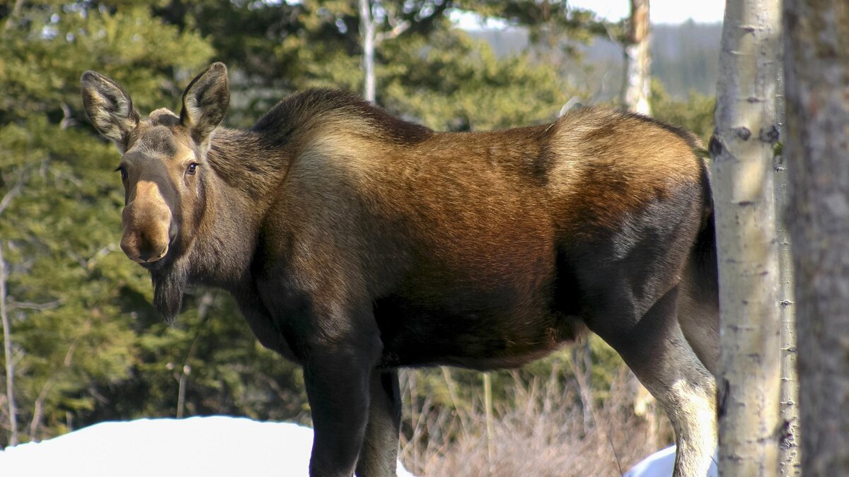    Фото: pxhere.com