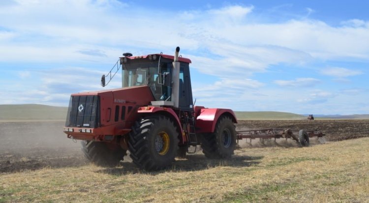    Фото: Минсельхоз Забайкальского края
