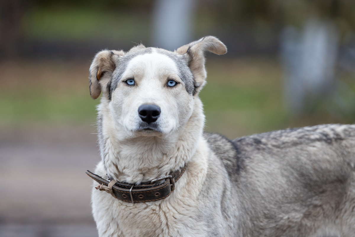 Фото: Тульская служба новостей