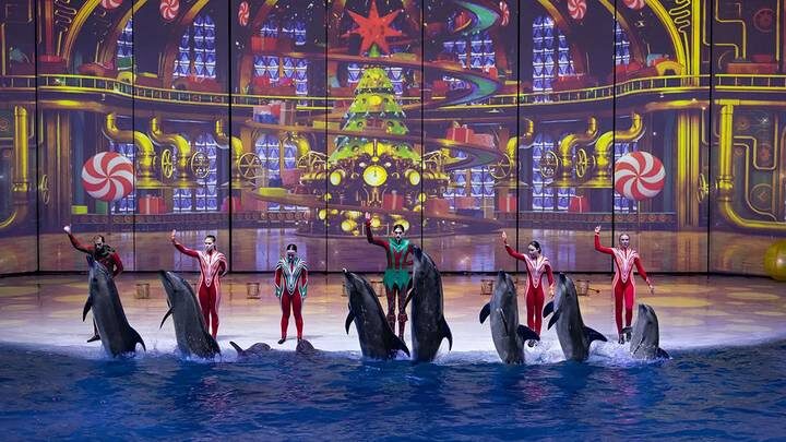  Фото: Пресс-служба