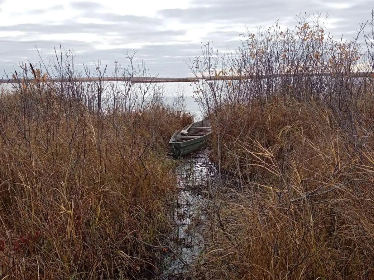 В деревне Тёмной природа с флёром романтики: озеро, лодочка и бескрайние просторы
