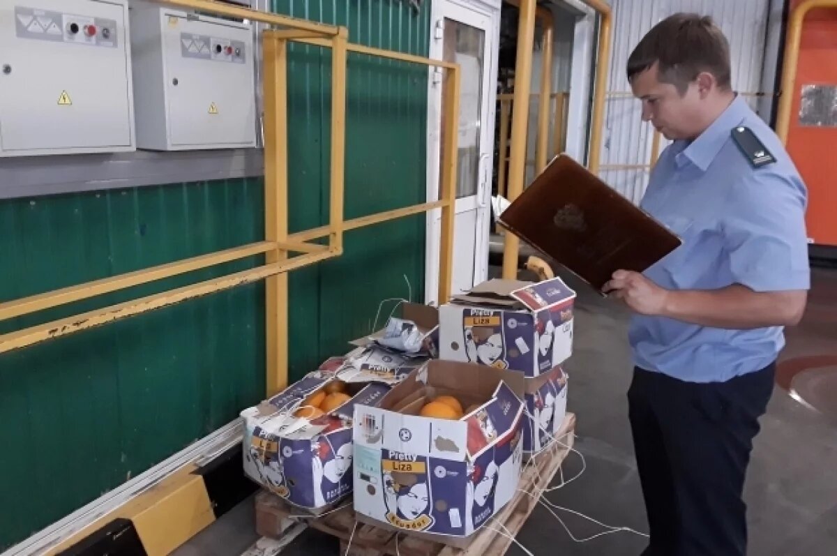    В Ульяновскую область ввезли 970 т какао-бобов из Кот-д’Ивуара и Эквадора