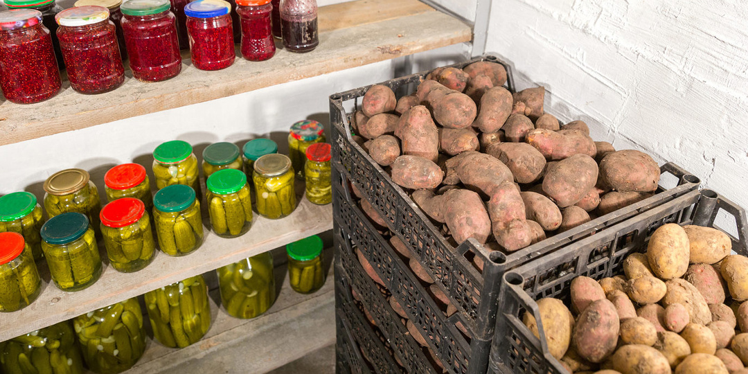 Ревизия погреба и хранилищ: история одного декабрьского спуска 🍎🥔