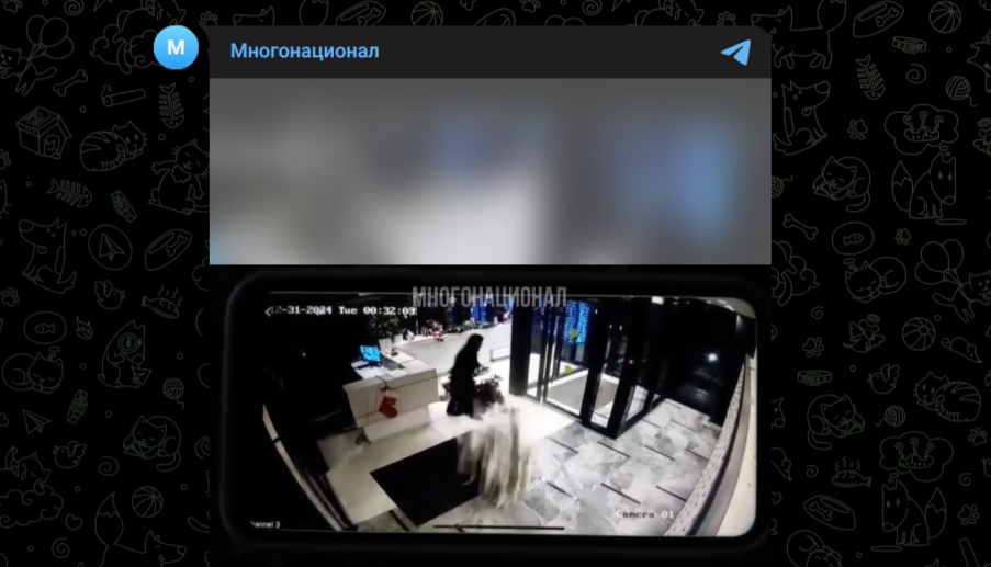 Фото: Telegram-канал "Многонационал"