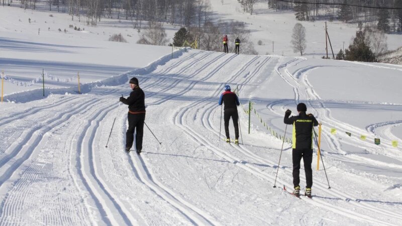    Лыжники. Зима. Олег Богданов, altapress.ru
