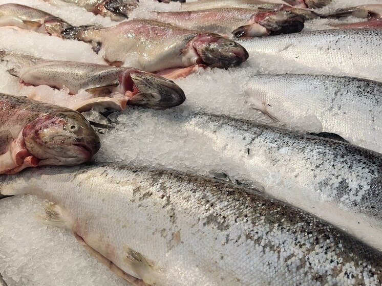     Общая сумма взяток составила почти 400 тысяч рублей. Фото из архива "МК в Питере"