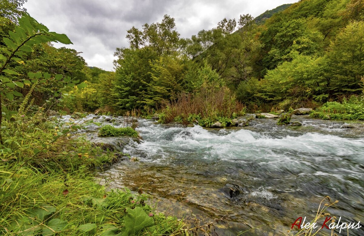 Река Храми. Здесь водится вся нужная для блюда рыба! Но вы должны понимать, что на реке Храм гне везде разрешено ловить рыбу!. Грузия