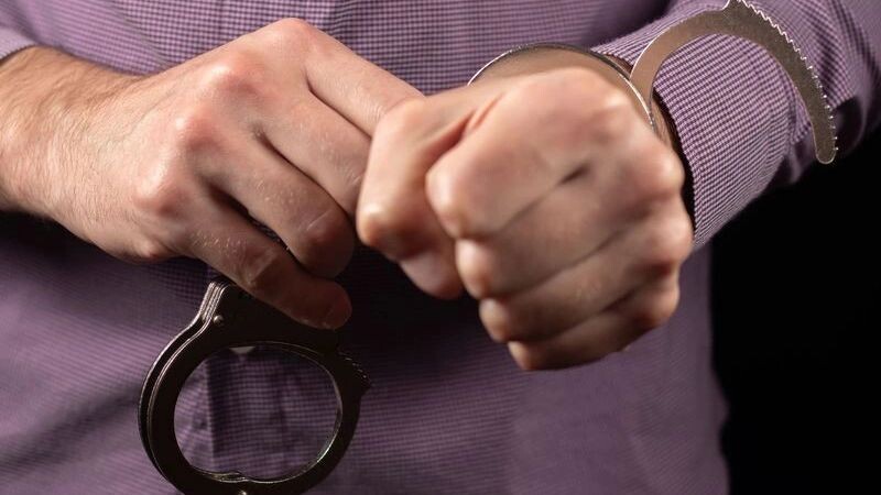    Фото: Skrypnykov Dmytro/Shutterstock/Fotodom