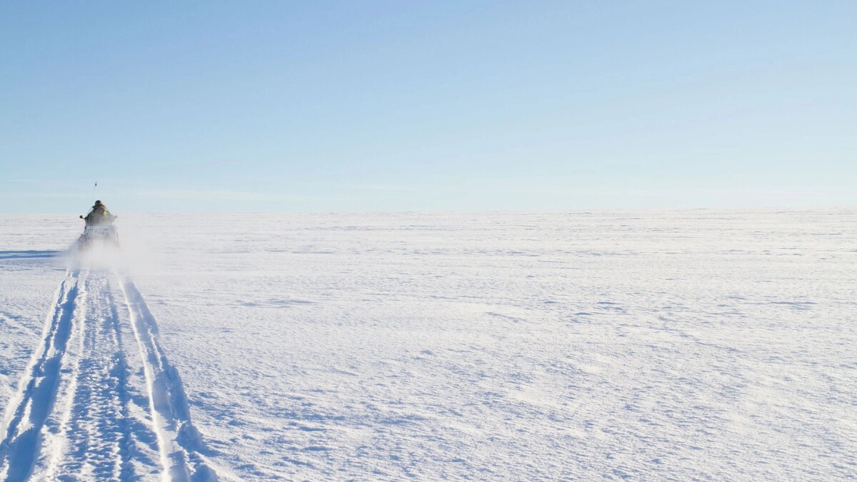    Фото: abackpacker/Shutterstock/Fotodom