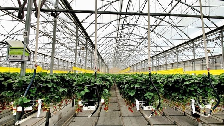    Фото: Правительство РФ