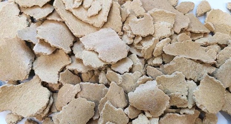    Фото: ФГБУ ЦОК АПК