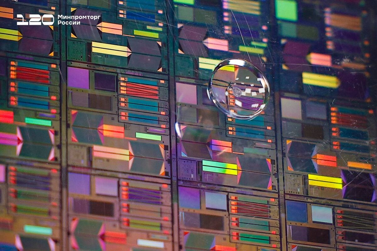 Фото: Минпромторг России  📷
