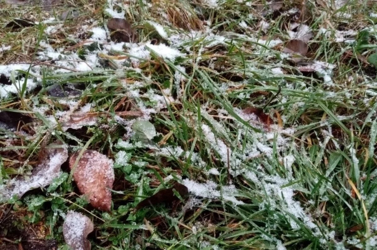    В выходные будет тепло и пройдёт мокрый снег