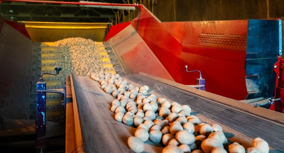    Медиасток.РФ